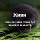 Без описания