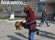 Без описания