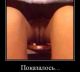предыдушее фото