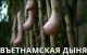 Без описания
