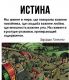 предыдушее фото