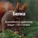 Без описания