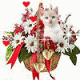 1397694842_3748.gif