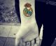 We BELIEVE IN Real Madrid!!!