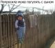 Папа с сыном погулять вышли...папа"гуляет"-сынок"отдыхает"