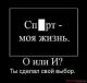 Без описания