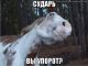 Без описания