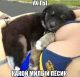 Без описания