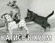 Без описания