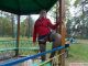 Без описания