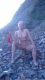Без описания