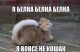 Без описания