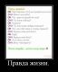 Без описания