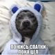 Без описания