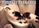 Без описания