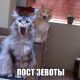 Без описания