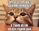 Без описания