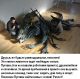 Без описания