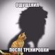 Без описания