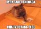 предыдушее фото