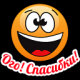Без описания