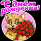 Без описания