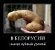 Без описания