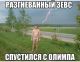 Без описания