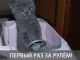 Без описания