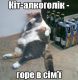 Без описания