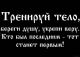 Без описания