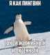 Лол