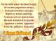 Без описания