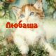 Без описания