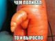 Без описания