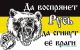 следующее фото