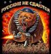 следующее фото