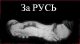 следующее фото