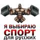 Без описания
