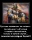 предыдушее фото