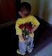 предыдушее фото
