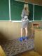 Без описания