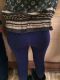 Без описания