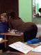 Без описания