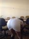 предыдушее фото