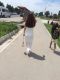 предыдушее фото