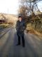 Без описания