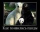 Без описания