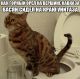 Котэ