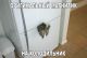Без описания
